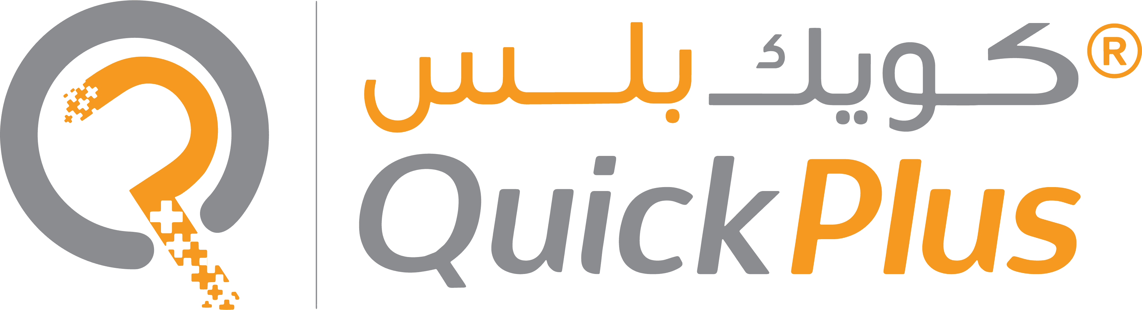 QuickPlus Business Setup Europe